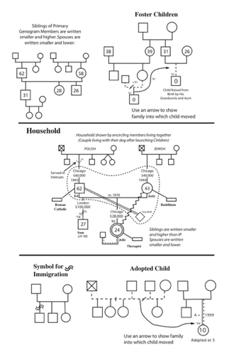 cultural genogram social work