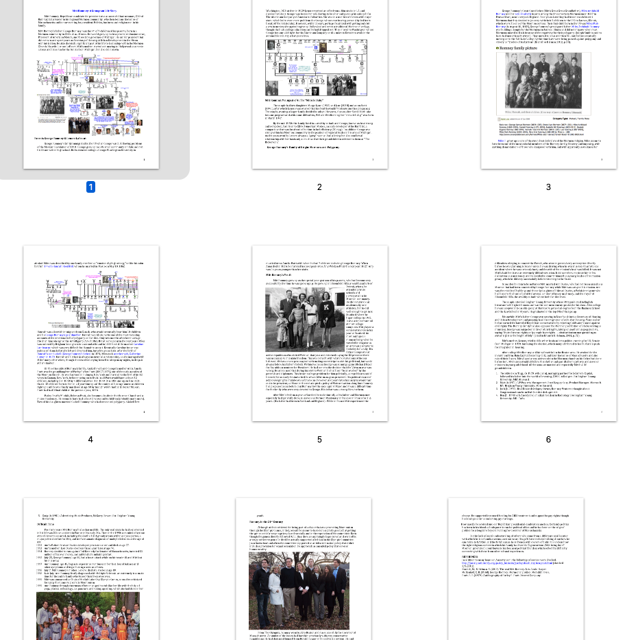 Romney pdf overview